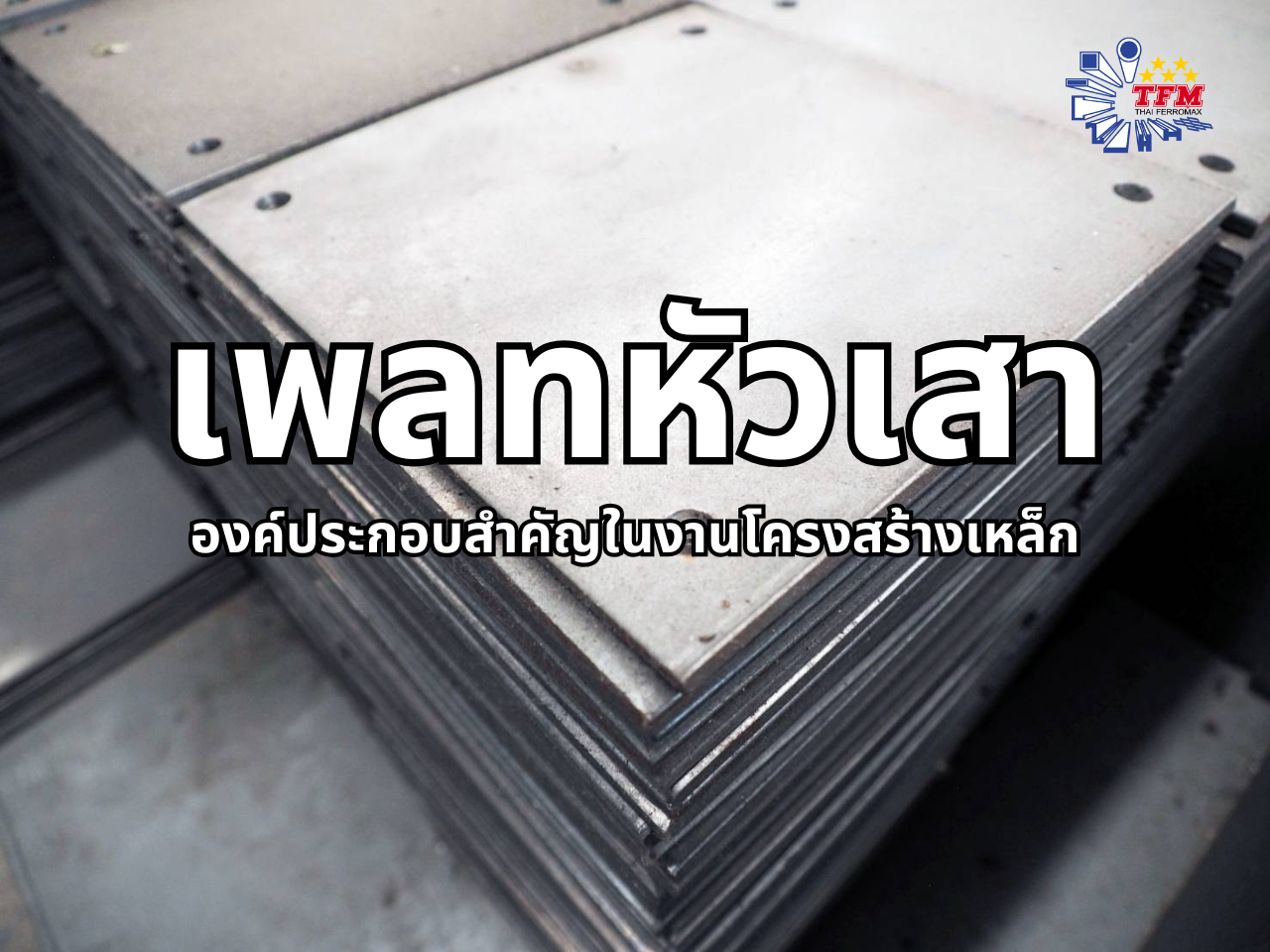 Read more about the article แผ่นเพลทหัวเสา ทำไมช่างก่อสร้างนิยมใช้?