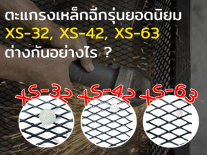 Read more about the article ตะแกรงเหล็กฉีกรุ่นยอดนิยม: XS-32, XS-42, XS-63 ต่างกันอย่างไร?
